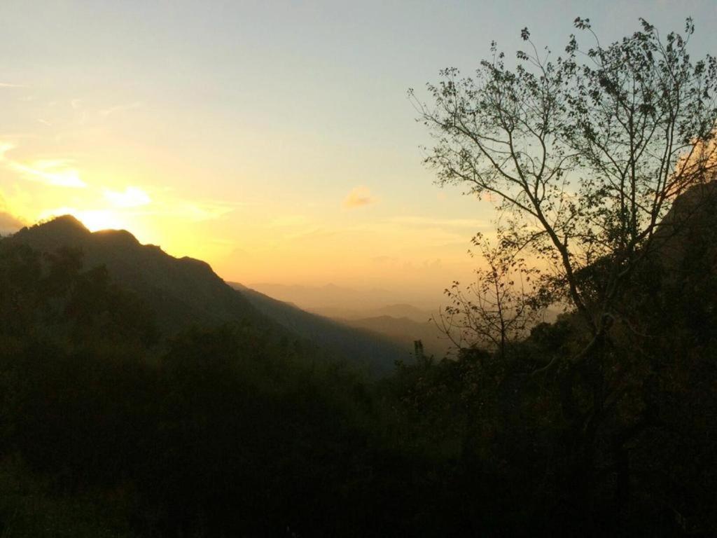 Minthu Homestay Ella Εξωτερικό φωτογραφία